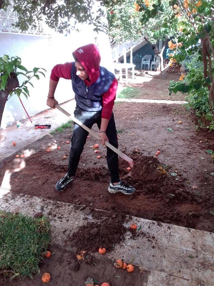 Garden Maintenance